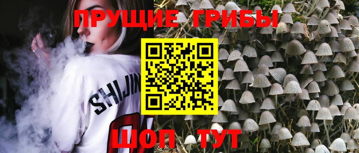 Галлюциногенные грибы Magic Shrooms  Псилоцибиновые грибы MAGIC MUSHROOMS  Кыштым  Вход с VPN 