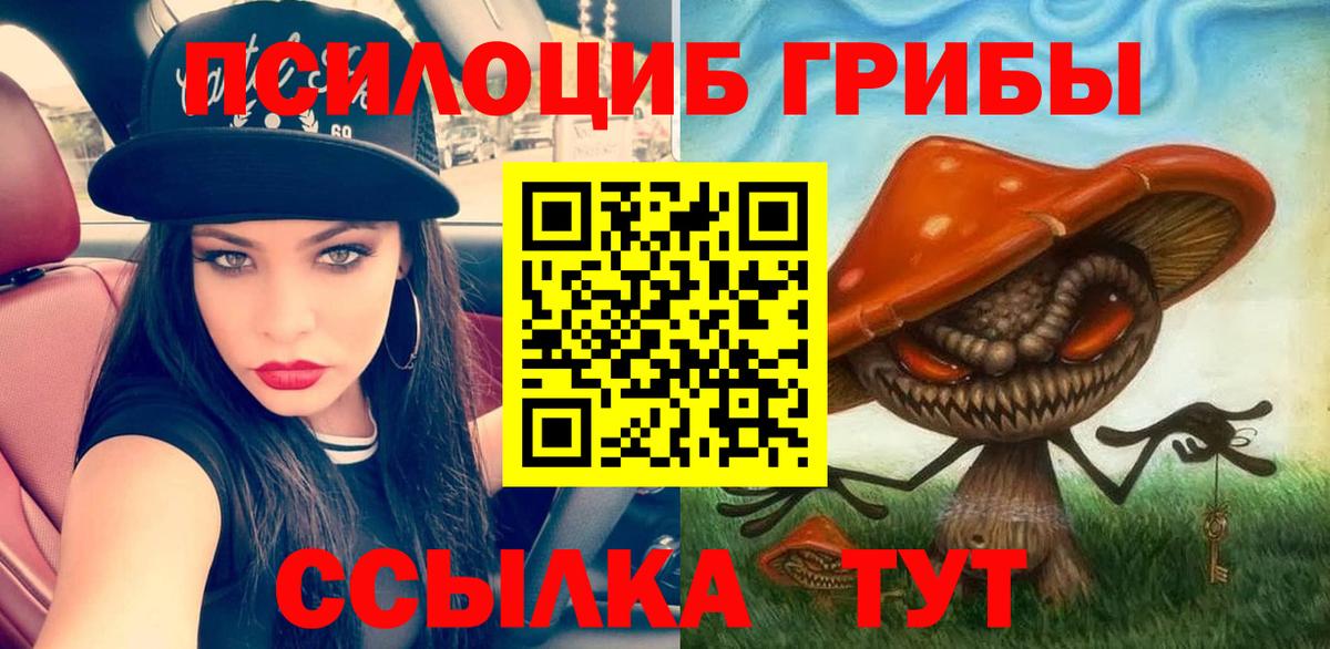 Псилоцибиновые грибы ЛСД Кыштым